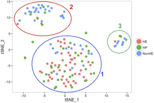 Figure 1. t-SNE analysis of individual HE, non-HE, and HP cells.