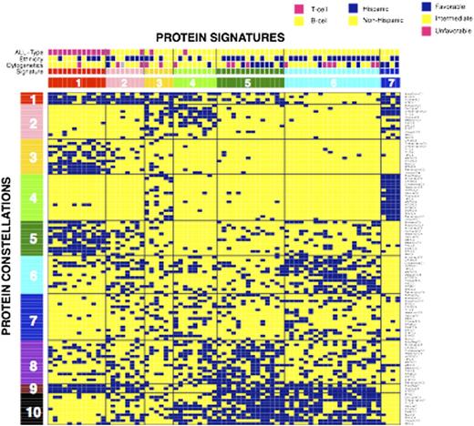 Figure. Hierarchical clustering based on binary ProFnGrp cluster membership. Each vertical patient column consists of 31 out of the 114 protein clusters. The suggested number of protein expression signatures is 7 together with 10 protein constellations. Blue squares indicate positive cluster membership.