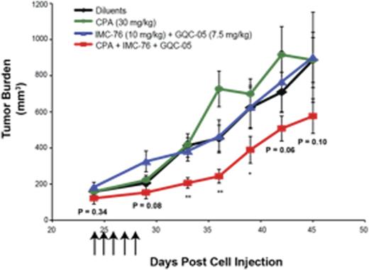 Figure. Tumor burden of DLBCL xenograft mice