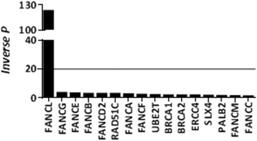 Figure 1. A significant increase mutational burden of FANCL was observed in our AML cohort (line represents P=0.05).