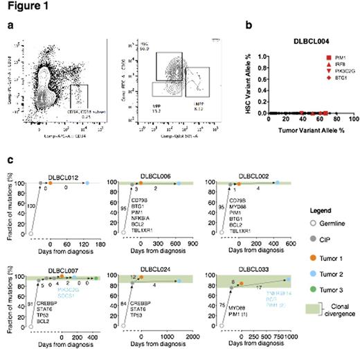 Figure. (a) HSC sorting from BM by FACS (b) Allele frequencies of mutations found by CAPP-Seq in an examplary DLBCL case (x-axis) compared to the same variants in HSCs (y-axis). (c) Phylogenetic trees of DLBCL patients experiencing relapse (n=6) with tumor pairs sequenced by CAPP-Seq. Shown are the evolutionary distances between (i) germline and common inferrable progenitor (CIP) illustrating the fraction of shared mutations between tumor pairs, and (ii) CIP and both diagnostic (tumor 1) and relapse tumors (tumor 2) indicating unique mutations to each tumor.