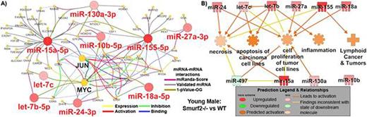 Figure. Impact of miRNA signature on transcriptional factors and cancer related function. A) For young males it was determined that the key miRNA signature has impact on oncogenes, MYC and JUN, along with other mRNAs determined using CluePedia Cytoscape plugin. The miRNA-mRNA interactions were determined from three different databases as indicated by the figure legend. B) Using Ingenuity Pathway Analysis (IPA) the functional impact of the miRNA signature is shown for young males comparing Smurf2-/- mice to wild-type (WT) mice.