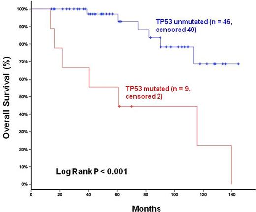 Figure. Overall Survival Stratified by TP53 Status