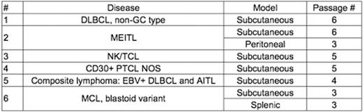 Table 1. List of available stable non-Hodgkin lymphoma models. AITL, angioimmunoblastic T-cell lymphoma; DLBCL, diffuse large B-cell lymphoma; EBV, Epstein-Barr virus; GC, germinal center; MCL, mantle cell lymphoma; MEITL, monomorphic epitheliotropic intestinal T-cell lymphoma; NK/TCL, natural killer/T-cell lymphoma and PTCL NOS, peripheral T-cell lymphoma not otherwise specified.