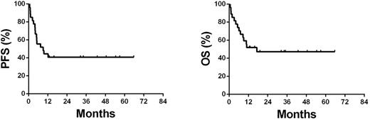 Figure 1. PFS and OS for all the patients (N=27).