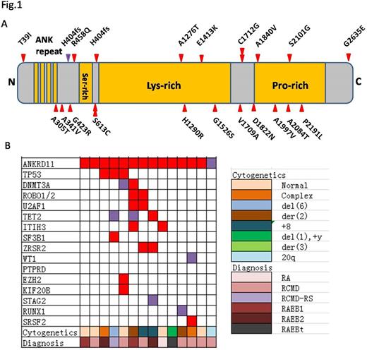 Figure. ANKRD11mutation distribution (a) and coexist with other mutations (b).