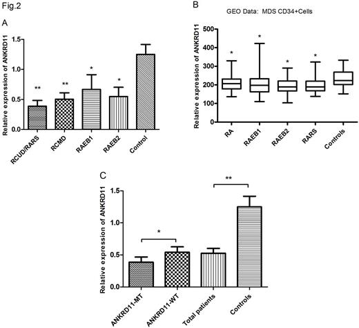 Figure. The mRNA expression levels of ANKRD11in our MDS (A, C) subset and GEO data (B).