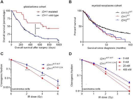 Figure 1. Increased survival of IDH1/2MT patients (A) in a glioblastoma population, (B) but not in a myeloid neoplasm population sequenced and analyzed by our groups. (C) IDH1MT radiosensitize carcinoma cells and (D) IDH1MT inhibitors radioprotect carcinoma cells.