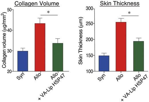 Figure 2. Administration of VA-Lip ameliorated skin fibrosis in chronic GVHD