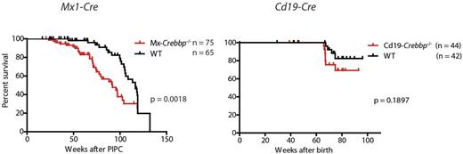 Figure. Left panel, Kaplan Meier graph for Mx1-Cre Crebbp mice with loss of Crebbp in the HSPC compartment demonstrates significantly shorter survival vs WT littermates with intact expression of Crebbp. In contrast, when Crebbp is excised in a later lymphoid compartment through Cd19-Cre mediated recombination, right panel, no difference in survival is noted from WT littermate controls.