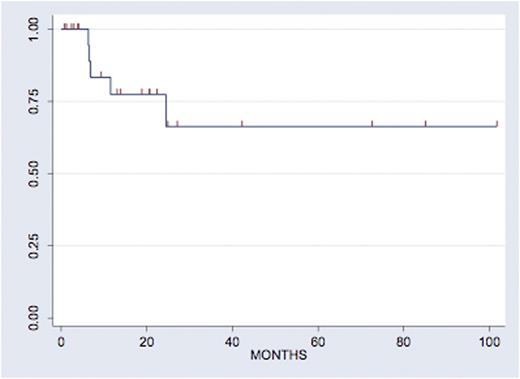Figure 1. PFS among Patients with Intensive Consolidation