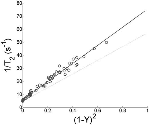 Figure 2. Light gray line designates previously published HbA model fit and dark gray squares correspond to HbS. 1/T2 was linearly dependent on (1-Y)2in HbS blood however the slope of this relationship was higher when compared to known relationship with HbA.
