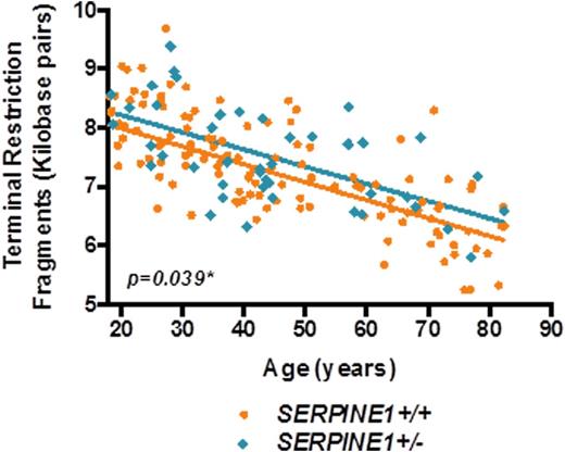 Figure. Mean telomere restriction fragments (kilobase pairs) as a function of age and genotype