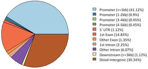 Figure 1. Distribution of the 446 probes showing significant differential variability in IgM-MGUS vs. WM samples.