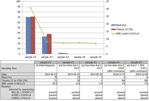 Figure 1. Flow chart of PB blasts %, clonal cells % detected by FISH, mutated genes, and the corresponding clinical states.