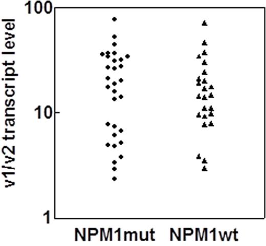 Figure 1. PD-L1 expression in AML patients with high leukocyte counts at diagnosis. The surface expression of the protein was assessed through the ratio of the transcript levels for variants 1 and 2.