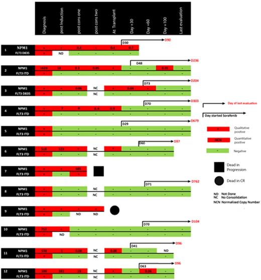 Figure. Dynamics of NPM1 and FLT3 Molecular Response