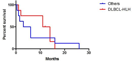 Figure 2. Overall survival for both groups.