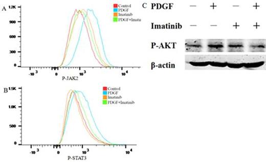Figure 1. Effect of PDGF-BB on Jak2/Stat3 and PI3K/Akt pathway of megakaryocytes.