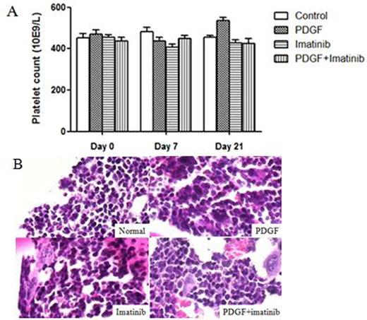 Figure 2. The platelet numbers and the megakaryocytes of each group mice.