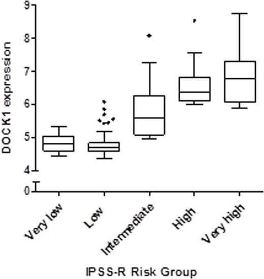 Figure 1. Boxplots of DOCK1 expression levels in bone marrow MNC according to IPSS-R score