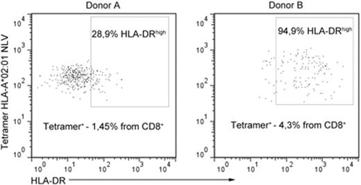Figure 1. HLA-DR expression levels in NLV-specific cells in 2 healthy donors. Tetramer+ cells are gated. Percentage of tetramer+ cells from total CD8+ are noted.