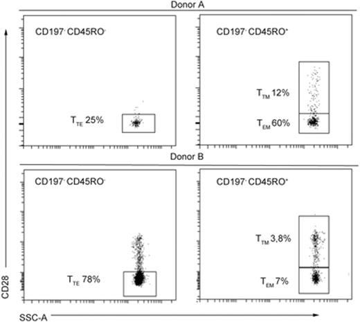 Figure 2. Immunophenotype of NLV-specific cells in 2 healthy donors. Gating strategy is noted.