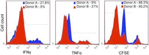 Figure 3. Levels of proliferation, TNF and IFNγ expression upon antigen stimulation. Tetramer+ cells are gated.