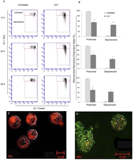 Figure 1. Effect of 10 µM CLF on mitochondrial membrane potential. Flow cytometry fluorescence intensity A) Dot plots B) Bar plots of cells stained with JC-1 (n=3). C) Fluorescence microscopy image of JC-1-stained untreated cells indicating healthy mitochondria (red), D) In CLF-treated cells, green color shows diffusion of JC-1 from damaged mitochondria.