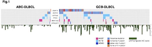 Fig 1. The distribution of genetic alterations of PI3K-AKT pathway and pAKT protein expression.