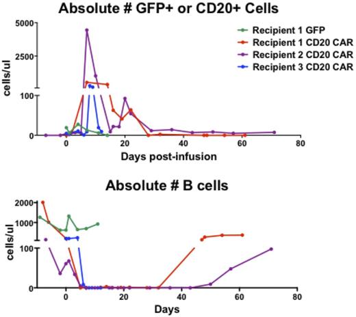 Figure 1. Absolute numbers of GFP T cell (n=1) and CD20 CAR T cell (n=3) expansion and persistence in rhesus macaques (top graph). Maximum CD20 CAR T cell expansion occurred between day 7 and day 8 following CAR T cell infusion. Absolute numbers of B cells in rhesus macaques following GFP T cell (n=1) and CD20 CAR T cell (n=3) infusion (bottom graph).
