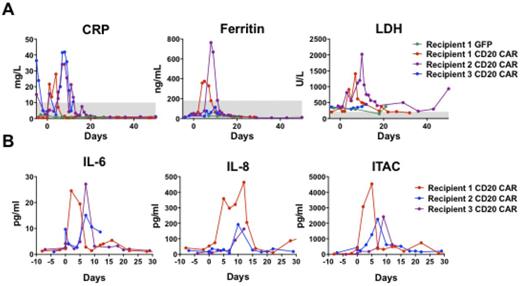 Figure 2. A. CRP, Ferritin and LDH levels were elevated following CD20 CAR T cell infusion, their peaks closely correlated with maximum CAR T cell expansion. No elevation of CRP, Ferritin or LDH was observed in Animal 1 which received GFP T cells. B. Elevations in IL-6, IL-8 and ITAC levels following CD20 CAR T cell infusion were highest surrounding the time of maximum CAR T cell expansion.
