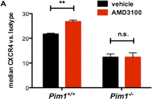 Figure 1. PIM1-deficiency or -inhibition enhances HSC mobilization in combination with AMD3100-treatment. (A) Statistical analysis of CXCR4 surface expression on Pim1-/- or WT LSK cells after AMD3100-treatment for 24h. PIM1-deficiency reverts the increased CXCR4 surface expression after AMD3100-treatment. (B) Time course of total LSK cells per ml PB of AMD3100-treated mice. Pim1-/- mice show significantly higher LSK counts. (C) Statistical analysis of total LSK cells per ml of LGB321+AMD3100 treated mice compared to AMD3100-only treated WT animals. PIM-inhibition significantly increases mobilization efficiency of AMD3100.