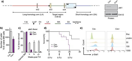Figure 1. a) Design of a conditional targeting vector and confirmation of gene deletion on protein level. b) Reduction of LSK cells in Jak1 KO mice. c) Competitive disadvantage of Jak1-deficient cells. d) Increased mortality of Jak1 KO mice when serially challenged with 5-FU. e) Jak1-deficient LSK cells are insensitive to type I interferon stimulation.