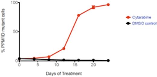 Figure 1. PPM1D mutant cells have a competitive advantage under the selective pressure of chemotherapy (cytarabine) treatment.