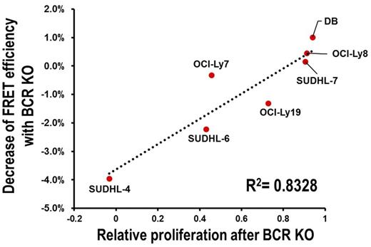 Figure 1. Correlation of relative proliferation after BCR KO with decrease of AKT activity (as measured by FRET efficiency of AKT activity reporter) in GCB-DLBCL cell lines.