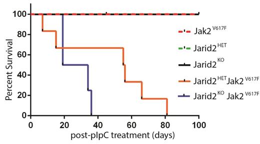 Figure 1. Kaplan-Meier analysis of a cohort of Jarid2KO-Jak2V617F (n = 5) and Jarid2HET -Jak2V617F (n = 6) and littermate controls (n = 4-8 each).