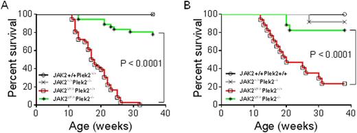 Figure 1. Loss of Plek2 Rescues The Lethality of JAK2V617F Knockin Mice. (A) Kaplan-Meier survival analysis of indicated mice. Both males and females were included in each group. JAK2+/+Plek2+/+mice, n=34; JAK2+/+Plek2-/-mice, n=34;JAK2VF/+Plek2+/+ mice, n=36; JAK2VF/+Plek2-/- mice, n=36. (B) Kaplan-Meier survival analysis of the transplanted mice. JAK2+/+Plek2+/+mice, n=10; JAK2+/+Plek2-/-mice, n=10;JAK2VF/+Plek2+/+ mice, n=17; JAK2VF/+Plek2-/- mice, n=17.