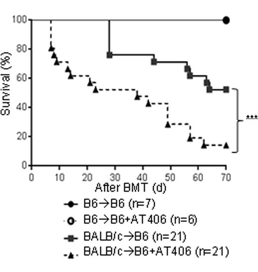 Figure 1. Pan-IAPs inhibitor (AT406) exacerbates GVHD.
