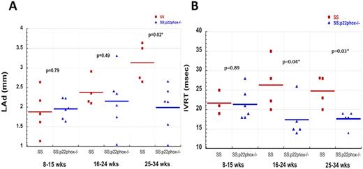Figure 1. Echocardiographic parameters evaluating diastolic function of the heart of SS vs SS;p22phox-/-mice. A. Left atrial dimension (LAd). B. Isovolumic relaxation time (IVRT). SS: Hbbtm2(HBG1,HBB*)Tow (UAB) with wild-type p22phox; SS;p22phox-/-: UAB mice with targetted deletion of p22phox.(statistical analysis was performed using Wilcoxon rank-sum test; JMP 9.0 SAS Institute, Cary, North Carolina)