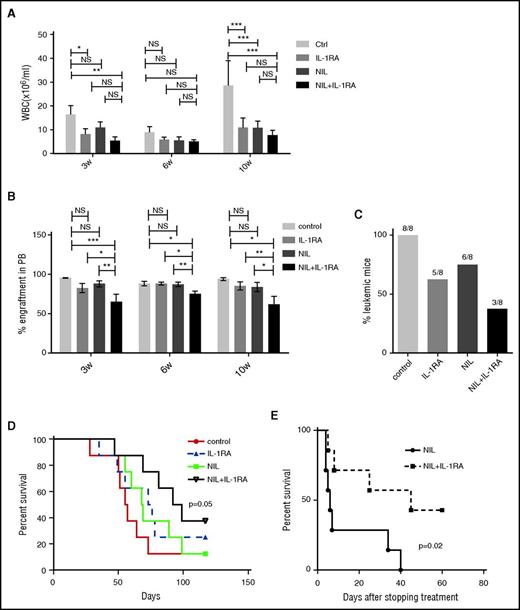 Figure 2. IL-1RA enhances elimination of CML stem cells in combination with NIL. BM cells from CML mice (CD45.1) treated with IL-1RA alone, NIL alone, or IL-1RA in combination with NIL were transplanted into irradiated secondary recipient mice (CD45.2) (n = 8 each). WBC counts (A), percent CD45.1 engraftment in PB (B), frequency of the mice developing leukemia (C), and survival (D) of the secondary recipient mice are shown. Another cohort of mice (n = 7 each) was treated with NIL alone or combination of NIL and IL-1RA for 4 weeks following which treatment was stopped, and the survival of these mice are shown (D). Results represent mean ± SEM. Significance values: *P < .05; **P < .01, ***P < .001, 2-way ANOVA and log-rank test.
