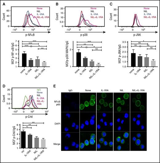 Figure 6. IL-1RA in combination with NIL inhibits inflammatory signaling in CML LSC. CML LTHSC (Lin-CD34+CD38−CD90+ cells) were cultured in CML BM CM in the presence of IL-1RA, NIL, or combination of IL-RA and NIL for 24 hours. The expression of p- NF-κB p65 (A), p38 MAPK (B), p-JNK (C), and p-Crkl (D) by flow cytometry is shown. Nuclear localization of NF-κB p65 protein in stem cells treated with IL-1RA, NIL, or the combination of IL-1RA and NIL was evaluated by immunofluorescence analysis (E). Results represent mean ± SEM. Significance values: *P < .05; **P < .01; ***P < .001, 1-way ANOVA. DAPI, 4′,6-diamidino-2-phenylindole.