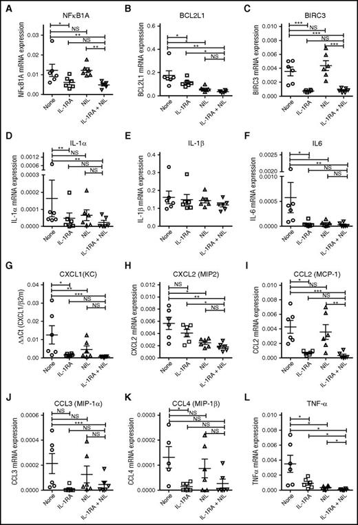 Figure 7. IL-1RA in combination with NIL inhibits NF-κB target gene and cytokine gene expression in CML LSC. Expression of the NF-κB target genes, NFKB1A (A), BCL2L1 (B), and BIRC3 (C) and the inflammatory cytokines, IL-1α (D), IL-1β (E), IL-6 (F), CXCL1 (G), CXCL2 (H), CCL2 (I), CCL3 (J), CCL4 (K), and TNF-α (L) in CML CD34+CD38−CD90+ cells treated with IL-1RA, NIL, or the combination of NIL and IL-1RA, was measured by qRT-PCR. Results represent mean ± SEM. Significance values: *P < .05; **P < .01, ***P < .001, paired Student t test.