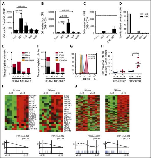 Figure 1. IL-1B potently stimulates primitive CP CML cells. (A-C) Cells from CML BM (n = 3) or normal BM (n = 3) were sorted based on CD34 and CD38 expression and counted after 7 days culture in serum-free medium supplemented with indicated cytokines. The dotted lines represent seeded cell numbers. Cell numbers from seeded CD34+ CML cells (A), CD34+CD38− CML cells (B), and CD34+CD38− normal BM cells (C). (D) Flow cytometric analysis of cell surface markers following the 7-day culture of CD34+CD38− CML cells in the presence or absence of IL-1B. (E-F) Colony formation of CD34+CD38− CML cells plated in methylcellulose with or without the addition of IL-1B. Primary colony numbers (E) and colony numbers following replating (F). (G-H) CD34+ CML cells were stimulated with IL-1B for 15 minutes and analyzed for phosphorylation of NF-κB within the CD34+CD38+ and CD34+CD38− cell populations by phospho-flow cytometry. The histogram (G) shows the phosphorylation levels in the CD34+CD38− cells from a representative sample, and the diagram (H) summarizes data from 4 patients. (I-J) CD34+CD38− CML cells from 5 patients were incubated in the presence or absence of IL-1B for 3 or 24 hours and analyzed by RNA-sequencing and GSEA. NF-κB target genes (I) and cell cycle–associated genes (J). For complete gene list, see supplemental Tables 1-5. BFU-E, burst forming unit–erythroid; CFU-G, colony forming unit–granulocyte; CFU-GEMM, colony forming unit–granulocyte, erythrocyte, monocyte, megakaryocyte; CFU-M, colony forming unit–macrophage.