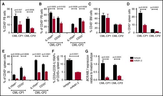 Figure 4. Primary CP CML cells are killed by IL1RAP antibodies in vivo. NSGS mice were transplanted with CD34+ CP CML cells from 2 patients and treated biweekly with 50 μg IL1RAP antibody mAb81.2 or a mIgG2a isotype control antibody until euthanization 40 days after transplantation (mice given mAb81.2 or control antibody: n = 4 and n = 5 in CP-CML1, n = 5 and n = 5 in CP-CML2, respectively). Treatment was started 1 (CP-CML1) or 3 days (CP-CML2) after transplantation. (A-E) The levels of human (CD45+) cells and proportions of IL1RAP expressing and myeloid (CD33+) cells within the human cell population is presented in PB (A-B), BM (C), and spleen (D-E). (F) Levels of CD34+CD38−IL1RAP+ CML cells within the CD45+ population in the spleen. (G) Relative levels of BCR/ABL1 transcripts in spleens.