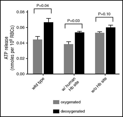 Figure 6. Effect of deoxygenation on ATP release from wild-type and transgenic mouse erythrocytes. Washed RBCs were oxygenated or deoxygenated and kept for 30 minutes at room temperature, and gently pelleted. The supernatant was collected and evaluated for ATP and Hb content. The pelleted RBCs were then lysed with ddH2O and the Hb concentration was measured to calculate erythrocyte numbers. ATP arising from hemolysis was subtracted from the total ATP in supernatant to yield net ATP released by deoxygenation. Absolute numbers of ATP released from intact erythrocytes containing the murine deoxyHb-binding site (wild-type), the human deoxyHb-binding site (w/ human Hb site), and no deoxyHb site (w/o Hb site) in oxygenated vs deoxygenated condition are 44 ± 4.0 pmol/108 cells vs 67 ± 5.1 pmol/108 cells, 39 ± 3.1 pmol/108 cells vs 54 ± 1.4 pmol/108 cells, and 53 ± 1.5 pmol/108 cells vs 60 ± 3.0 pmol/108 cells.