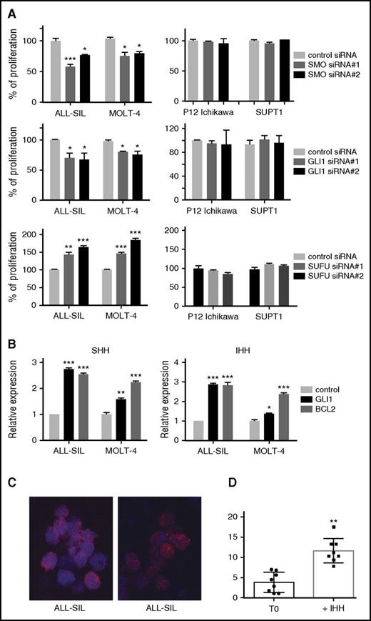Figure 4. The hedgehog pathway is functional in T-ALL cell lines. (A) Relative proliferation of ALL-SIL, MOLT4 (hedgehog inhibitor sensitive cell lines) and P12-Ichikawa, SUPT1 (hedgehog inhibitor insensitive cell lines) after knockdown by siRNA targeting SMO, GLI1, and SUFU messenger RNA. (B) Stimulation of ALL-SIL and MOLT4 cells with hedgehog ligands results in upregulation of the GLI1 target genes BCL2 and GLI1. (C-D) Stimulation of ALL-SIL with hedgehog ligand results in GLI1 nuclear relocation. GLI1 (red) localization in ALL-SIL cells before stimulation (T0) and 30 minutes after stimulation with the IHH ligand (C). Statistical representation of GLI1 localization as ratio between nucleus and cytoplasm (D). **P < .01; ***P < .001. Error bars indicate SEM.