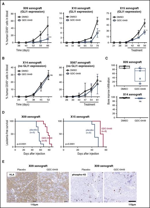Figure 7. T-ALL human xenograft samples with GLI1 expression are sensitive to hedgehog inhibitors in vivo. (A-B) NSG mice injected with patient-derived T-ALL xenograft samples were treated with GDC-0449 or vehicle for 3 weeks (treatment period indicated by solid bar). Graphs show the percentage of human CD45 positive cells in the peripheral blood of NSG mice over time. (C) NSG mice injected with T-ALL xenograft cells with high GLI1 expression levels exhibit lower leukemic infiltration in bone marrow after treatment with hedgehog inhibitors. (D) Leukemia-free survival of mice injected with samples X09 or X15 treated with GDC-0449 or placebo. (E) Representative example of human leukemic cells and cells that proliferate, as defined by HLA and phospho-histone H3 staining, respectively, in the spleen of mice treated with placebo or GDC-0449. *P < .05; **P < .01; ***P < .001. Error bars indicate SEM.