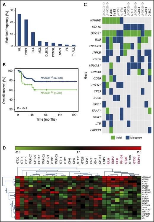 Figure 1. Assessment of NFKBIE mutations in 1460 patients diagnosed with different lymphoid malignancies. (A) NFKBIE mutation frequency per disease entity. (B) OS in 143 PMBL patients according to NFKBIE mutation status (P value refers to log-rank test). (C) Recurrently mutated genes in PMBL. Based on WES generated on 7 PMBL cases from this series and available exome data on 7 cases from Mareschal et al.10 and Gunawardana et al.18 (D) Differentially expressed genes in NFKBIE wild-type (n = 21) vs deleted (n = 8) PMBL cases based on the NanoString PanCancer Pathways Panel plus an additional 30 genes (detailed in supplemental Methods). FL, follicular lymphoma; HL, Hodgkin lymphoma; MCL, mantle cell lymphoma; PCNSL, primary central nervous system lymphoma; SMZL, splenic marginal zone lymphoma; SLL, small lymphocytic lymphoma; T-ALL, T-cell acute lymphoblastic leukemia.