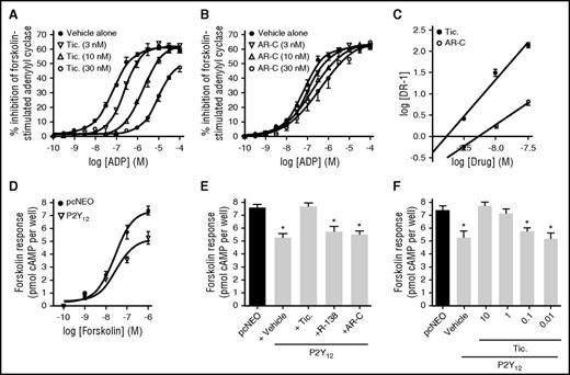 Figure 7. Ticagrelor-mediated attenuation of agonist-dependent and agonist-independent P2Y12R activity in 1321N1 cells. Inhibition of forskolin (1 µM; 10 minutes)–induced cAMP production by ADP (0.1 nM-100 µM; 10 minutes) in P2Y12R-transfected 1321N1 cells after preincubation with ticagrelor (3-30 nM; 15 minutes) (A) or AR-C 66096 (AR-C; 3-30 nM; 15 minutes) (B); n = 5. (C) Schild-plot analysis of data from panels A and B. (D) Forskolin (0.1 nM-1 µM; 10 minutes)–induced increases in cAMP levels in pcNEO-transfected and P2Y12R-transfected 1321N1 cells. (E) Forskolin (1 µM; 10 minutes)–induced cAMP production in pcNEO-transfected and P2Y12-transfected cells incubated with vehicle (0.1% DMSO), ticagrelor (10 µM), AR-C 66096 (10 µM), or R-138727 (10 µM) for 30 minutes. (F) Forskolin (1 µM; 10 minutes)–induced cAMP after preincuabtion with vehicle (0.1% DMSO) or ticagrelor (0.01 µM-10 μM; 30 minutes) in P2Y12R-transfected cells; n = 5. All graphs and bar charts display mean ± SEM. All cells were incubated with 0.2 U/mL apyrase (37°C; 60 minutes) prior to drug additions. *P < .05 vs pcNEO controls.